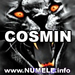 cosmin0099's Photo