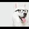 Creatii Skz - last post by Cosmin.
